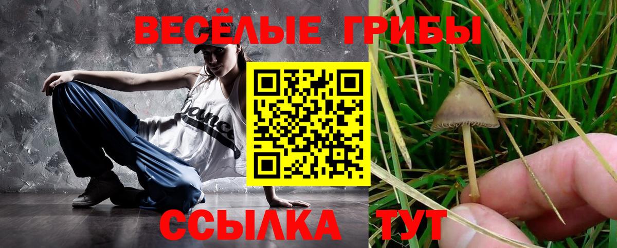 Галлюциногенные грибы GOLDEN TEACHER  Вход с VPN  Дзержинск 